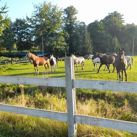 Prázdninový dům Sudecka Wiata-domki Gluszyca