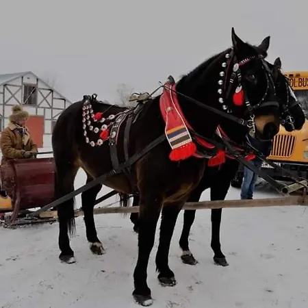 Prázdninový dům Sudecka Wiata-domki Gluszyca