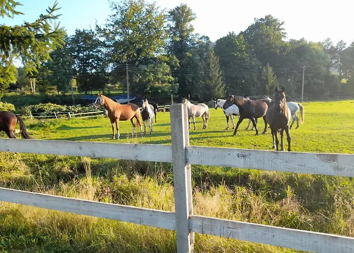 펜션 Sudecka Wiata-domki 그우시차