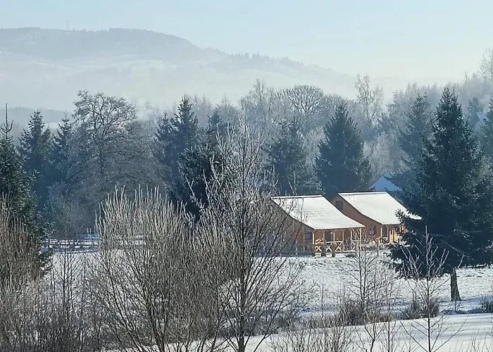 Sudecka Wiata-domki غووشيتسا