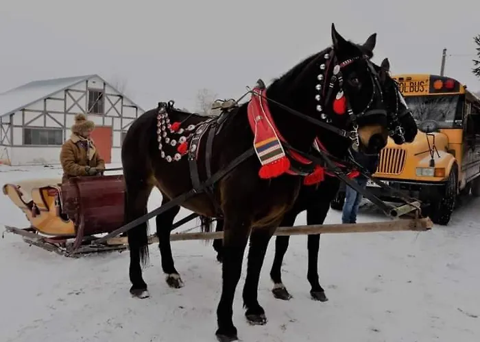 Vakantiehuis Sudecka Wiata-domki Gluszyca