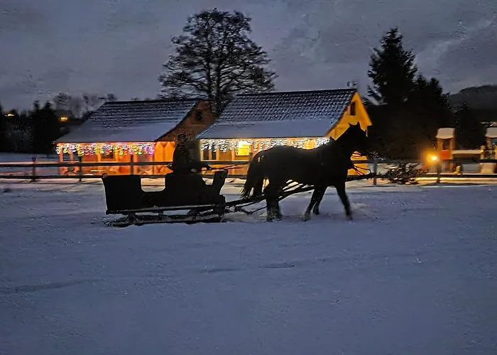 Sudecka Wiata-domki غووشيتسا